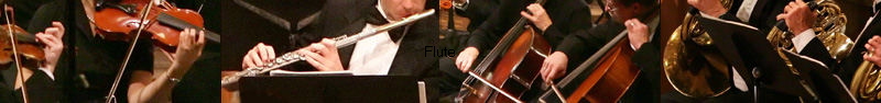 Flute