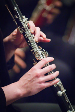 IMG_2509_250w