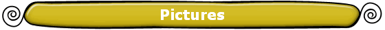 Pictures